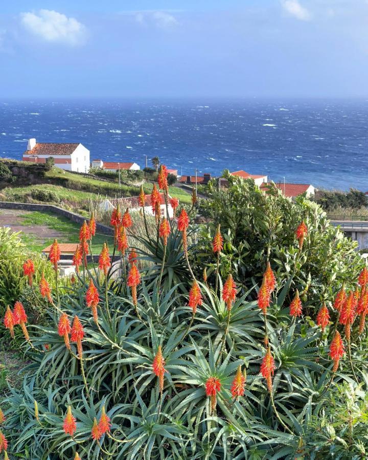 Willa Vivenda Joaquim Lajes das Flores Zewnętrze zdjęcie